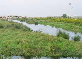 canale in piena e allagamenti dei terreni circostanti
