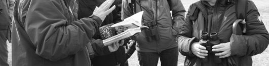 La consultazione delle guide BW
