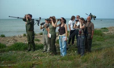 Birdwatchers del Gruppo Birdwatching LIPU Ostia
