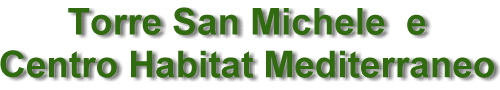 Torre San Michele e C.H.M.