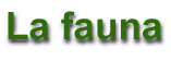La fauna