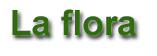La flora