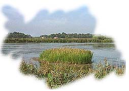 L'ambiente delle Vasche